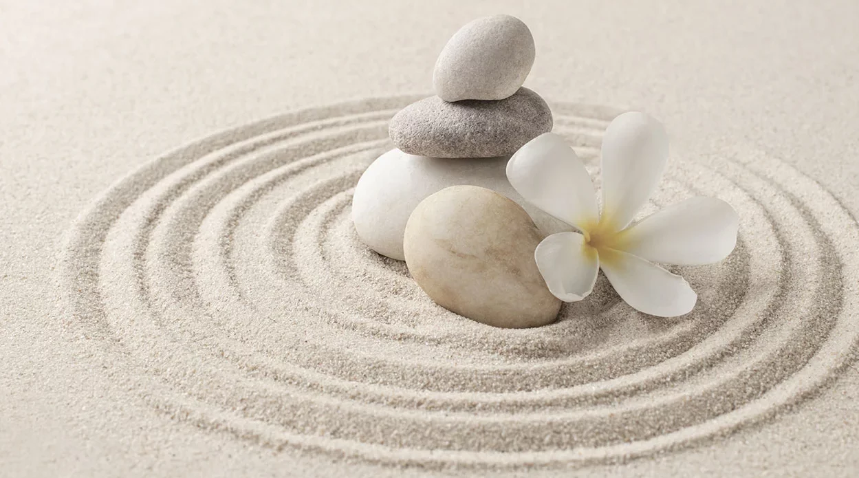 jolie composition de cailloux et d'une fleur blanche sur la plage Retrouvez la sérénité grâce à la Dtma type Emdr accompagnée de la guidance spirituelle qui favorise une meilleure gestion des émotions autour de moi