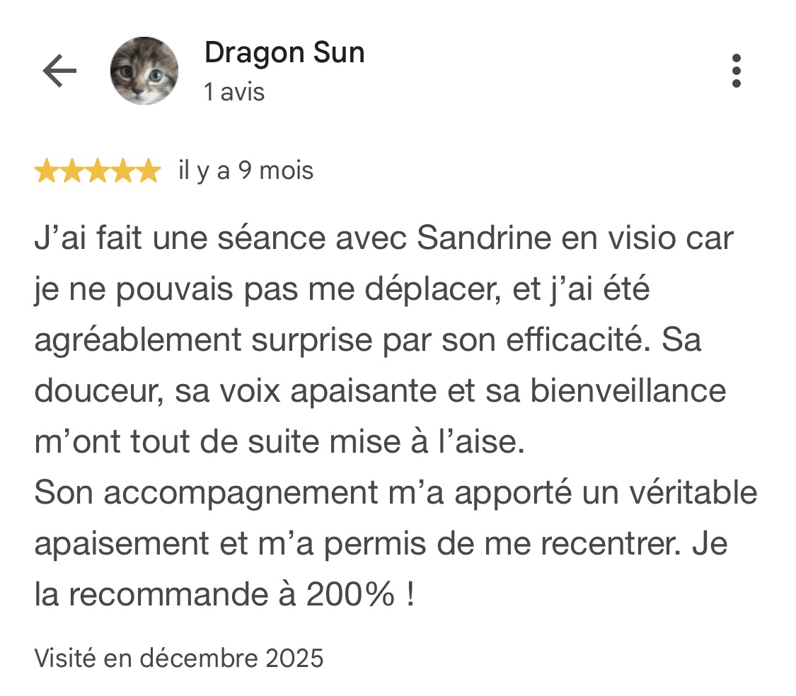 Avis Google de Dragon Sun